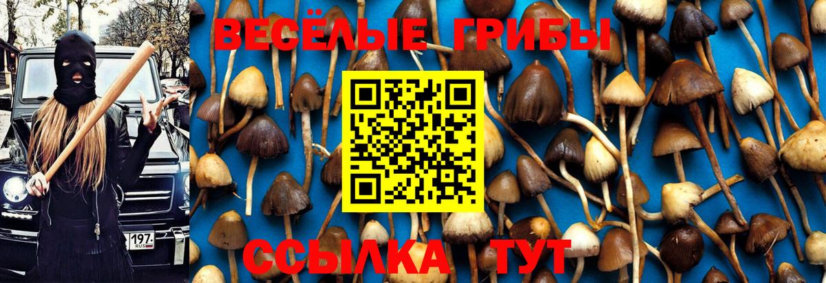 Псилоцибиновые грибы ЛСД Ликино-Дулёво